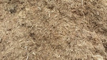 Premium single ground bark mulch