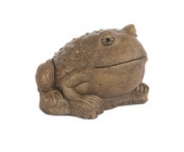 Md Frog Sculpted Eyes