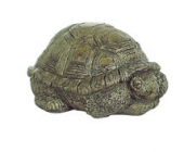 Med Sleeping Turtle