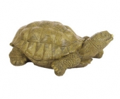 XL Turtle Ftn Animal