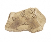 Deer Plaque